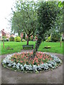 Flowers in Westwood Recreation Ground, Leek in ST13 8HA