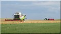 Harvesting wheat near High Newton-by-the-Sea in NE66 3DL