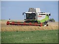Combine harvester at work near High Newton-by-the-Sea in NE66 3DL