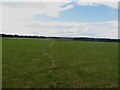 Footpath across a grass field at High Newton-by-the-Sea in NE66 3DL