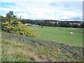 Grazing Land to the West of Grimethorpe in S72 7AR