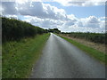 Minor road towards Cold Harbour in Swinhope