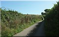 Lane from Wastor Cross in TQ7 4PS