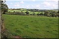 Farmland near Great Engelbourne in TQ9 7PR