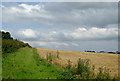 Wheat field north-west of Seifton, Shropshire in SY8 2DG