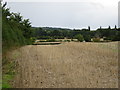 Crop field by New House Farm in HR8 2TP