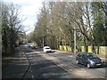 The Bath Road fringed by trees, Calcot, Reading in RG30 4QA