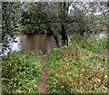 Track to the river's edge, Llanbadoc in NP15 1TA
