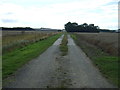 Farm track off the A16 in DN36 5SE