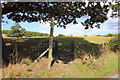 Kissing Gate on Offa's Dyke Path in LL14 5AG