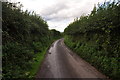 Taunton Deane District : Country Lane in TA4 1FL