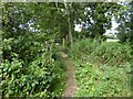 Bridge and gate at footpath junction in RH20 2LW
