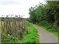 Cyclists on the former Midland Railway line in WF2 7PZ