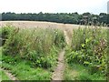 Footpath north  from the Bleakley Dike footbridge in WF2 6QS