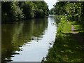 Looking south along the Grand Union Canal in B94 6LX