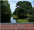 Grand Union Canal viewed from Turnover Bridge No 67 in B94 6HA