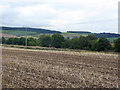Newly harvested field near Red Houses, Newbrough in NE47 5AG