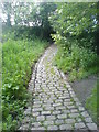 Cobbled Path towards Bank Farm in BL5 2RZ