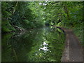 Wooded stretch of the Grand Union Canal in B91 2QH