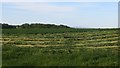 Cut grass, West Binney in EH52 6NB