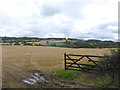 Field of stubble in North Tynedale in NE46 4DS