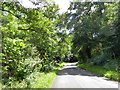 Road through Humber's Coppice south of Bloxworth in BH20 7EH