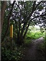 Footpath from Quorn to Woodthorpe in LE12 8DH