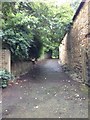 Footpath near St. Mary Magdalene, Cottingham in LE16 8XF