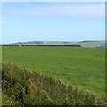 Fields south of A35 at Whiteway Cross in DT2 9AG