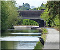 Heron on the towpath of the Grand Union Canal in B11 2DT