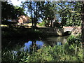 The River Chelmer by Langleys House, Great Waltham in CM3 1AF