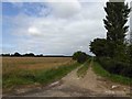 Farm track near Yarburgh in Yarburgh