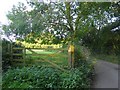 Field gate east of Mistletoe Farm in TQ13 0DQ