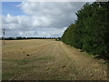 Stubble field and hedgerow in LN4 2ET