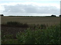 Farmland off Prior Lane in Metheringham Rural Ward