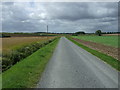 Farm road towards the B1189 in Blankney