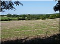 Field after harvesting above Dean Brook in WR9 7EF