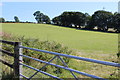 Pasture, Croespenmaen in NP11 3AY