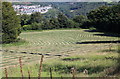 Hay field, above Crumlin in NP11 3AY