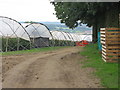 Poly tunnels off Small Profits in ME18 6AL