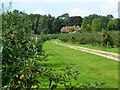 Footpath through orchard from Broadwater Lane in ME19 6HR