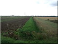 Drain, Walcott Fen in Billinghay Rural Ward