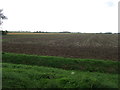 Flat farmland west of Parson Drove in Billinghay Rural Ward