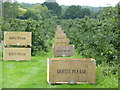 Orchard, Sherenden Lane Tudely in TN11 0PG