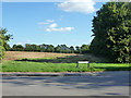 Field south of Church Street, Guilden Morden in Guilden Morden