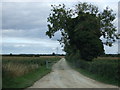 Farm track off the B1188 in Scopwick