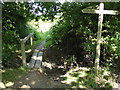 Footpath junction on the Knepp Estate in RH13 8NH