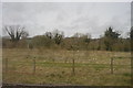 Rough grassland between the railway and canal in RG17 0UL