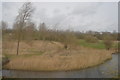 Wetland by the River Kennet in RG17 0UT