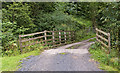 The bridge at Forest Becks in BB7 4NX